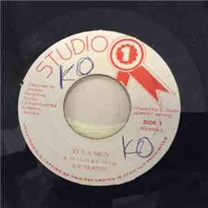 B.B. Seaton - It's A Sign download free
