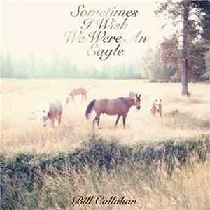 Bill Callahan - Sometimes I Wish We Were An Eagle download free