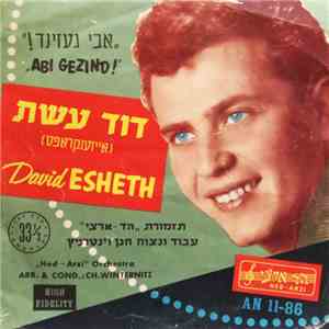 David Esheth - Abi Gezind! download free