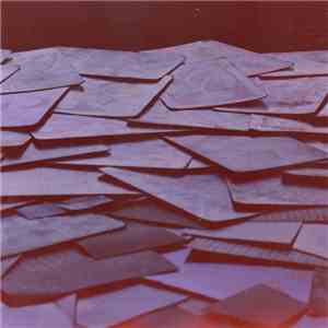 Feine Trinkers Bei Pinkels Daheim - Papagoyenboom download free