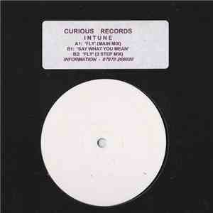 Intune - Fly / Say What You Mean download free