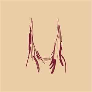 Konstrukt feat. Peter Brötzmann, Hüseyin Ertunç, Doğan Doğusel, Barlas Tan Özemek - Eklisia Sunday download free