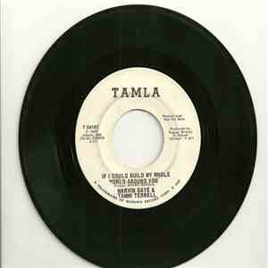 Marvin Gaye & Tammi Terrell - If I Could Build My Whole World Around You download free
