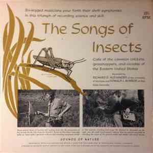 No Artist - The Songs Of Insects Of The Eastern United States download free