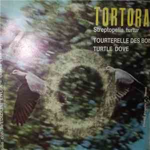 No Artist - Tortora (Streptopelia turtur) / Pantana (Tringa nebularia) download free