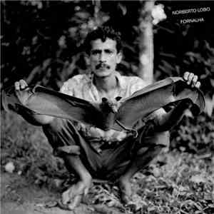 Norberto Lobo - Fornalha download free