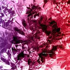 Pablo Cahn / Cesar Merveille - Split EP download free