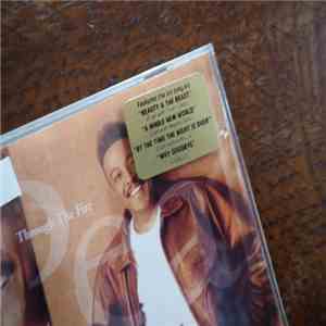 Peabo Bryson - Through The Fire download free