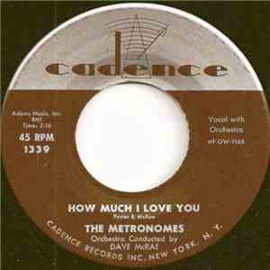 The Metronomes  - Dear Don / How Much I Love You download mp3 flac