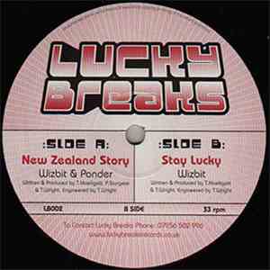 Wizbit & Ponder - New Zealand Story / Stay Lucky download free